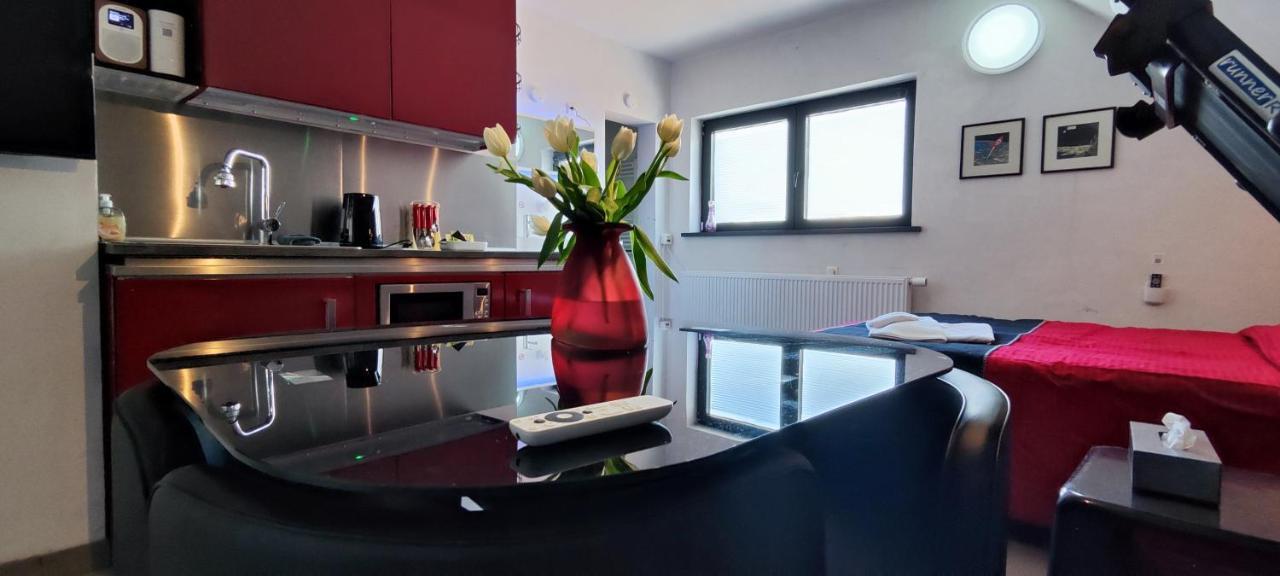 Logeerkamer Xxl 25 M2 Zemst 외부 사진
